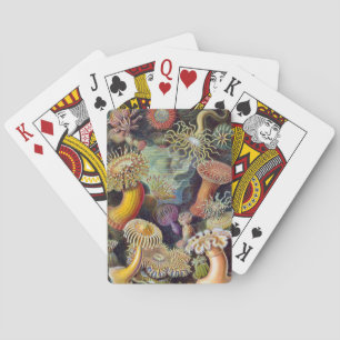 Sea Anemone Scientific Nature Ocean Playing Cards
