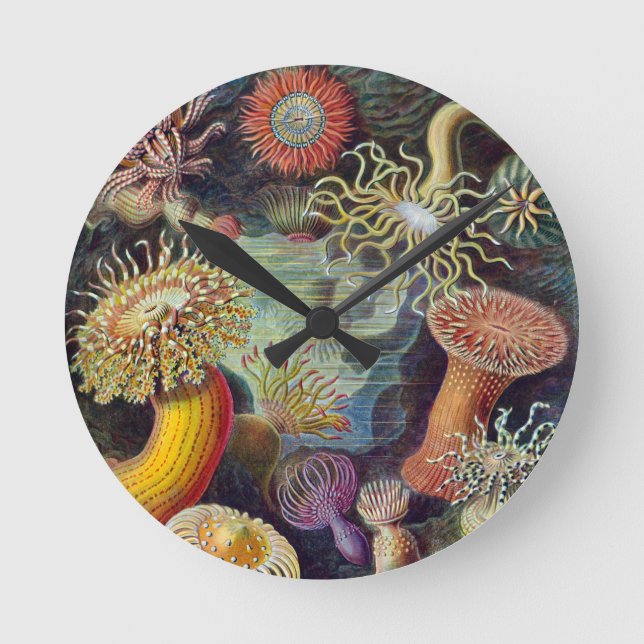Sea Anemone Scientific Nature Ocean Round Clock (Front)