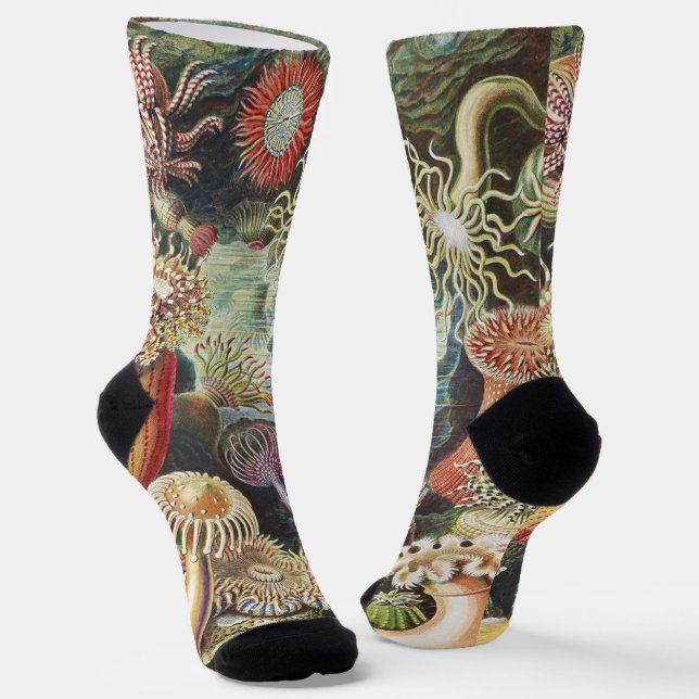 Sea Anemone Scientific Nature Ocean Socks (Angled)