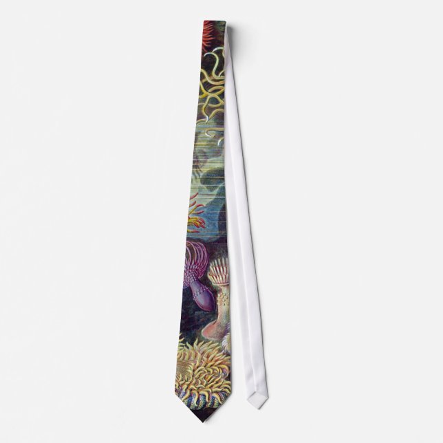Sea Anemone Scientific Nature Ocean Tie (Front)
