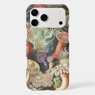Sea Anemones, Actiniae Seeanemonen Ernst Haeckel