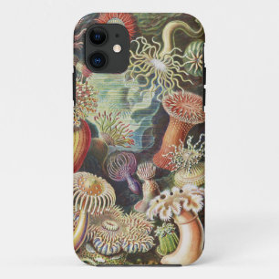 Sea Anemones, Actiniae Seeanemonen Ernst Haeckel iPhone 11 Case