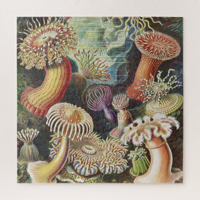 Sea Anemones, Actiniae Seeanemonen Ernst Haeckel Jigsaw Puzzle (Vertical)