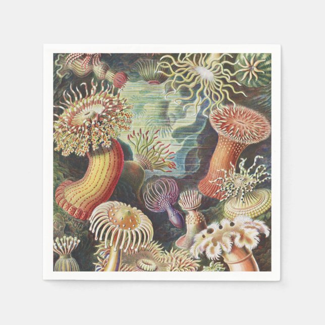 Sea Anemones, Actiniae Seeanemonen Ernst Haeckel Napkin (Front)
