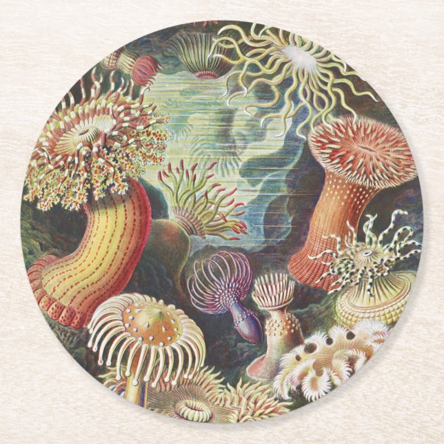 Sea Anemones, Actiniae Seeanemonen Ernst Haeckel Round Paper Coaster (Front)
