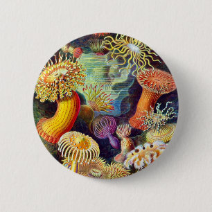 Sea Anemones Ernst Haeckel Fine Art 6 Cm Round Badge