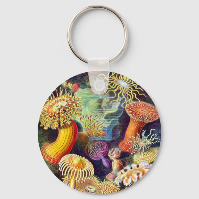 Sea Anemones Ernst Haeckel Fine Art Key Ring (Front)