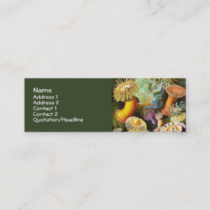 Sea Anemones Ernst Haeckel Fine Art Mini Business Card