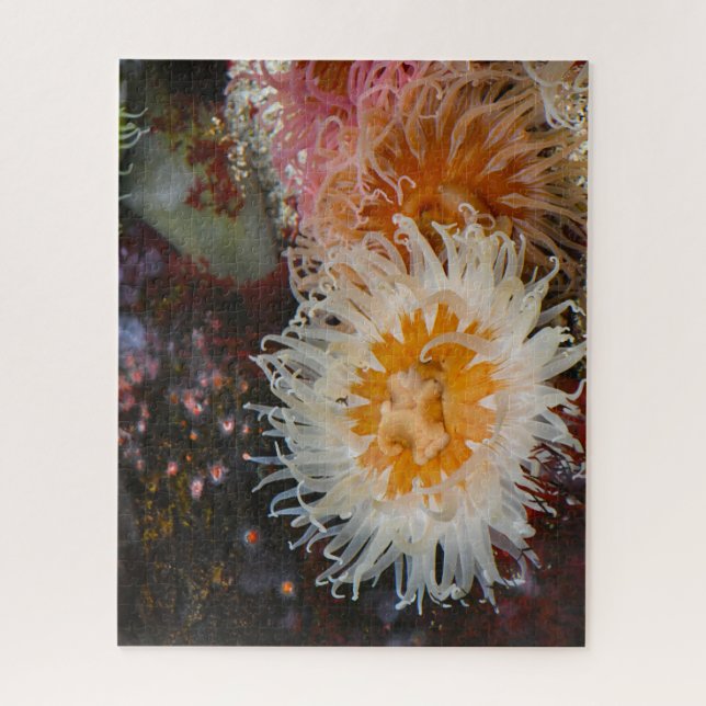 Sea Anemones. Jigsaw Puzzle (Vertical)