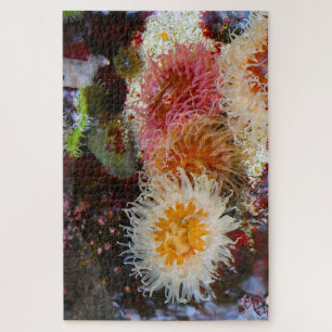 Sea Anemones. Jigsaw Puzzle