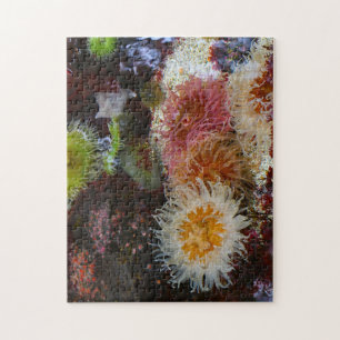 Sea Anemones. Jigsaw Puzzle