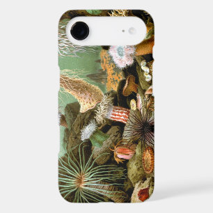 Sea Anemones Marine Life, Vintage Ocean Animals