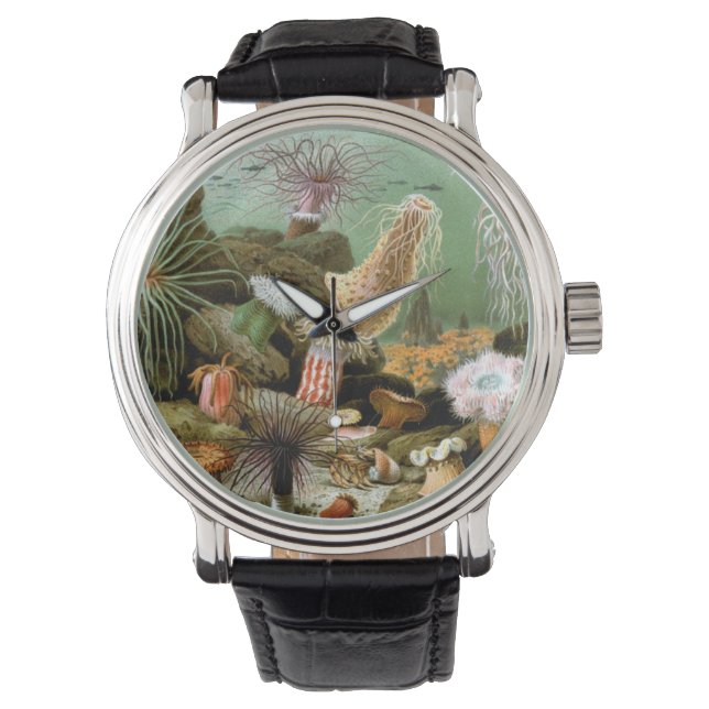 Sea Anemones Marine Life, Vintage Ocean Animals Watch (Front)