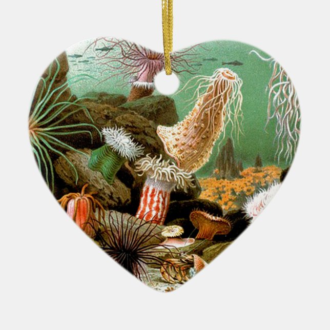 Sea anemones underwater scene ceramic tree decoration (Front)