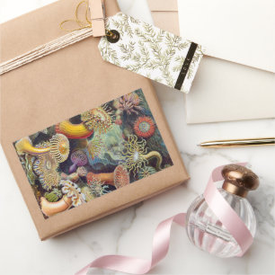 Sea Anemones, Vintage Actiniae by Ernst Haeckel Rectangular Sticker