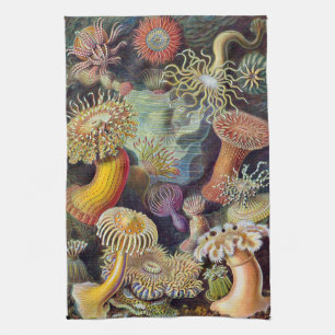 Sea Anemones, Vintage Actiniae by Ernst Haeckel Tea Towel
