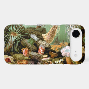 Sea Anemones, Vintage Marine Life Ocean Animals