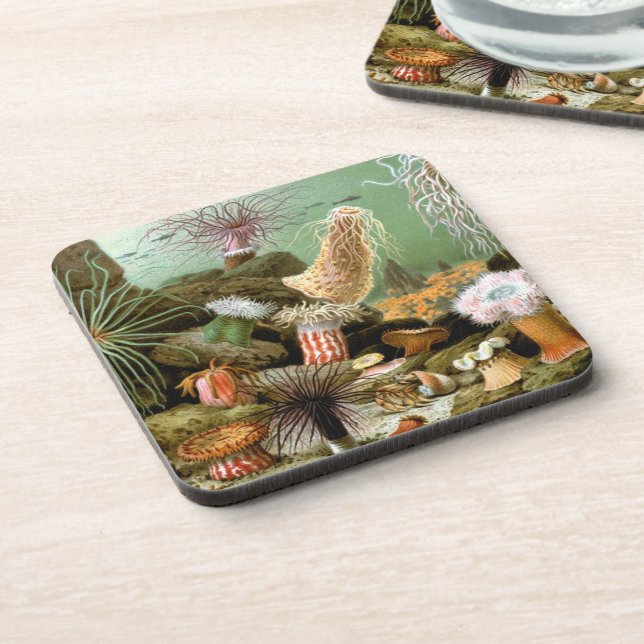 Sea Anemones, Vintage Marine Life Ocean Animals Coaster (Left Side)