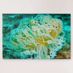Sea Anemonies Jigsaw Puzzle