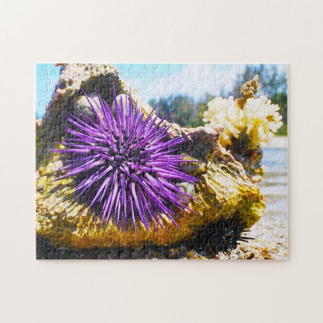 Sea Anemonies Jigsaw Puzzle (Horizontal)