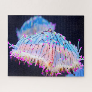 Sea Anemonies Jigsaw Puzzle