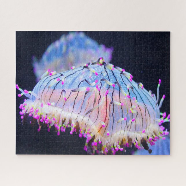 Sea Anemonies Jigsaw Puzzle (Horizontal)