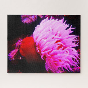 Sea Anemonies Jigsaw Puzzle