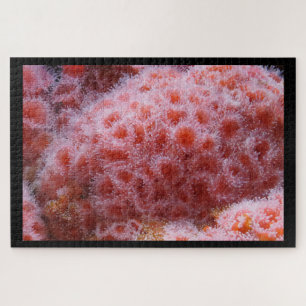 Sea Anenome, Pastel Pink Jigsaw Puzzle