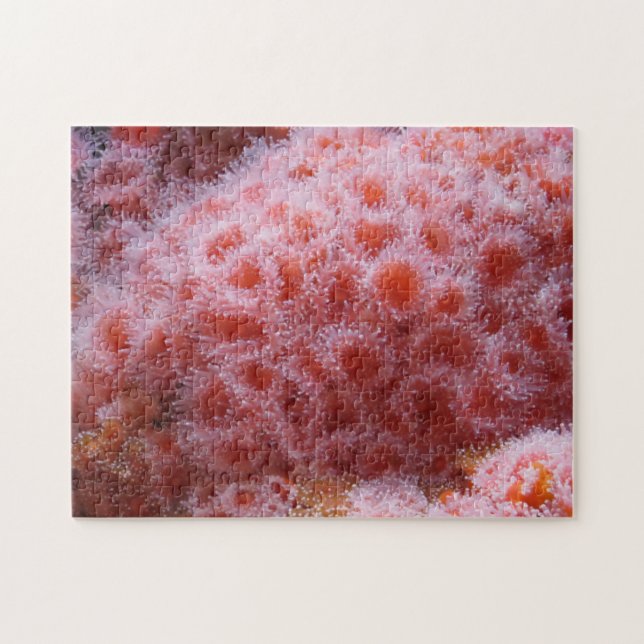 Sea Anenome, Pastel Pink Jigsaw Puzzle (Horizontal)