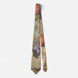 Sea Anenomes by Ernst Haeckel Tie