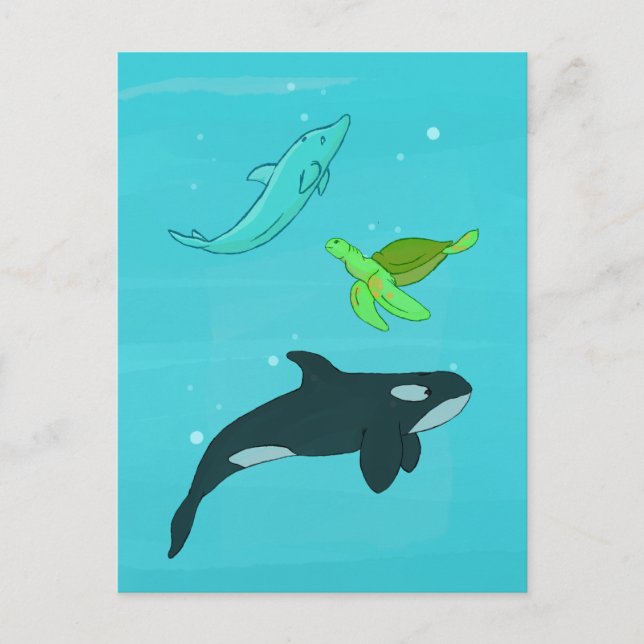 Sea Animals Postcard (Front)