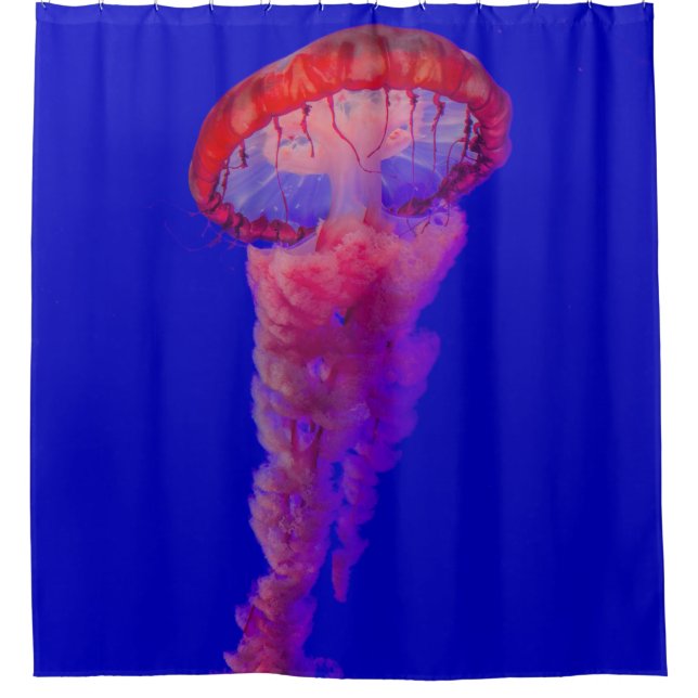 Sea Animals Shower Curtain (Front)