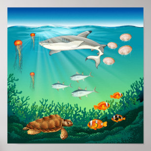Sea animals swimming under the sea poster