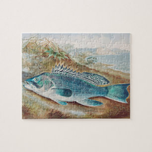Sea Bass by S.A. Kilbourne, Vintage Fish Jigsaw Puzzle