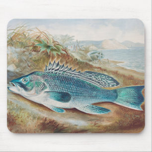 Sea Bass by S.A. Kilbourne, Vintage Fish Mouse Pad