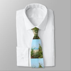 sea, beach, palm, nature, summer, tree, tropical, tie