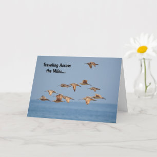 Sea Birds Flying Nice Pun Birthday Card