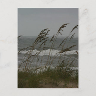 Sea Breeze Postcard