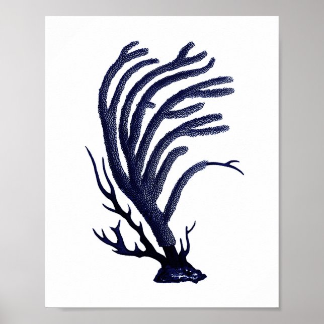 Sea Coral Navy Blue Coastal Wall Art (Front)