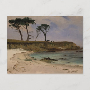 Sea Cove Postcard