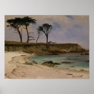 Sea Cove Poster
