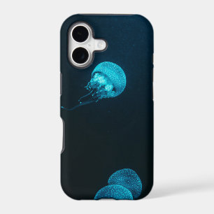 Sea Creatures