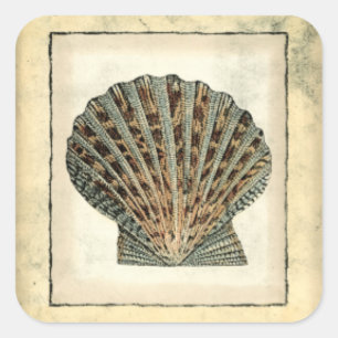 Sea Creatures by the Shore Square Sticker