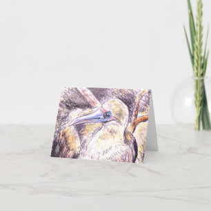 Sea Creatures Seabird BLANK Note Card