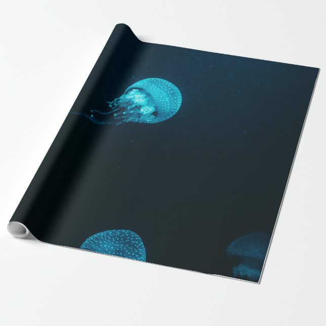 Sea Creatures Wrapping Paper (Unrolled)
