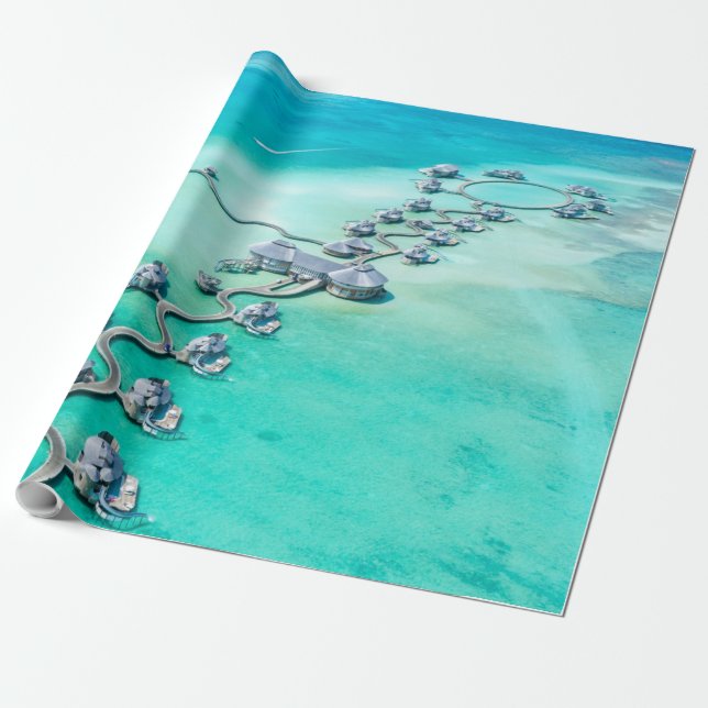 Sea Creatures Wrapping Paper (Unrolled)