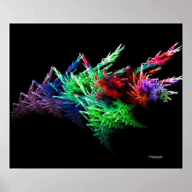 Sea Cucumber 2 Poster (Front)