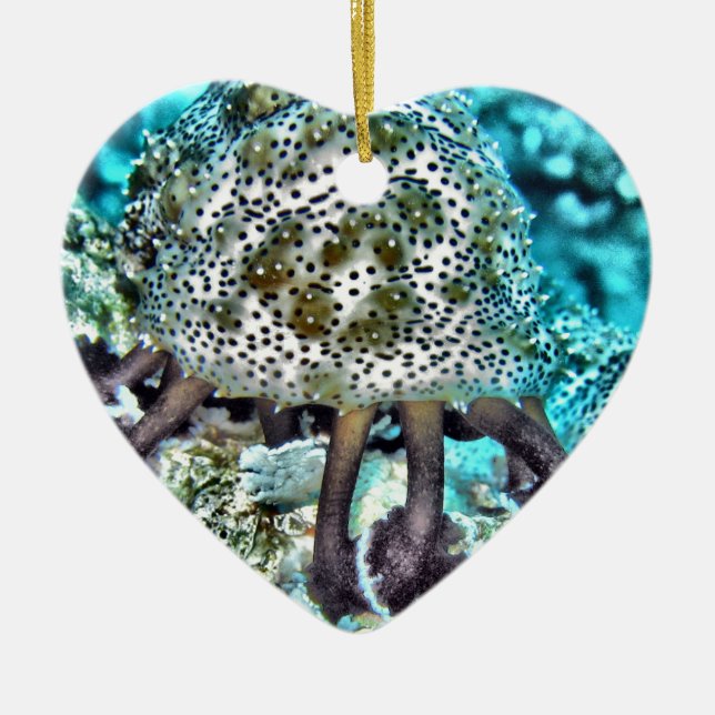Sea Cucumber.jpg Ceramic Tree Decoration (Front)