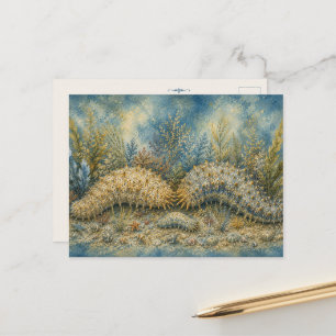 Sea Cucumber Ocean Watercolour Post Card