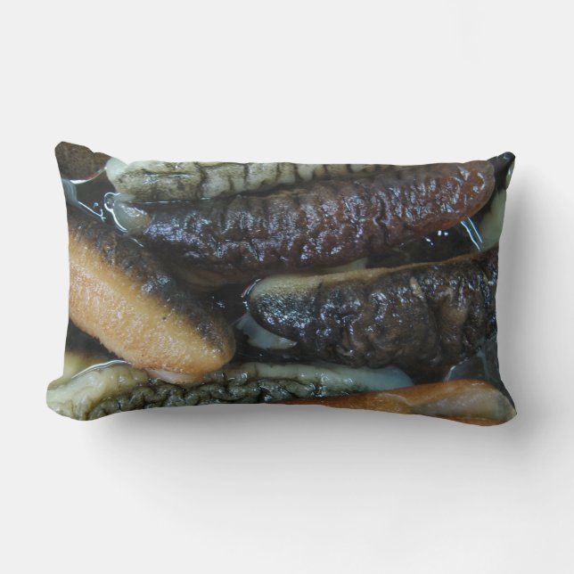 Sea Cucumber ... Yaowarat Market Food Lumbar Cushion (Front)
